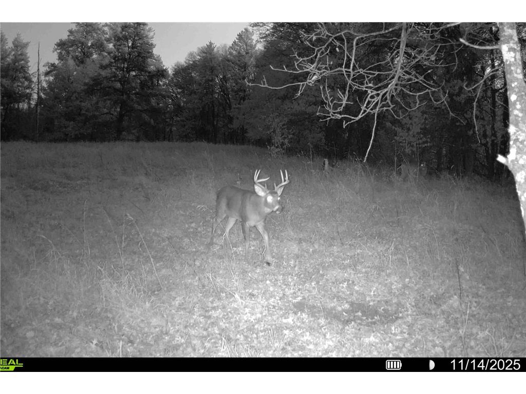 000 Beaver Dam Road Brainerd MN 56401 6820473 image50