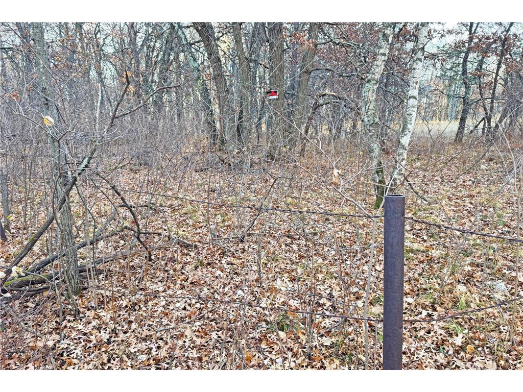 000 Beaver Dam Road Brainerd MN 56401 6820473 image8