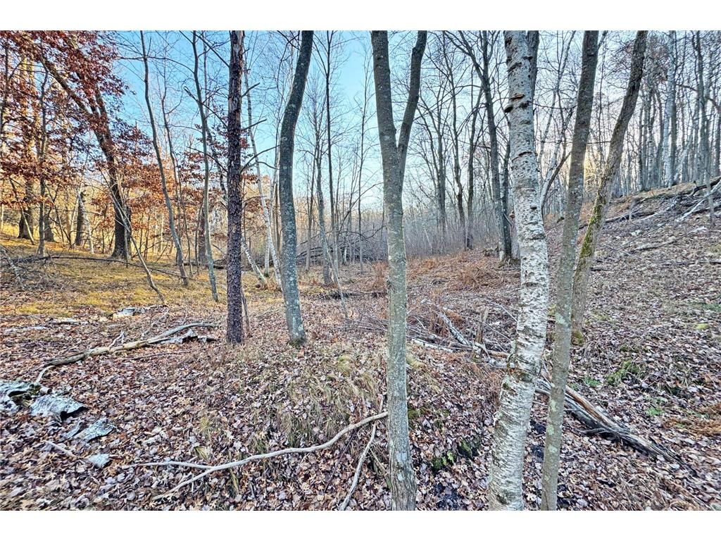 000 Beaver Dam Road Brainerd MN 56401 6820473 image9