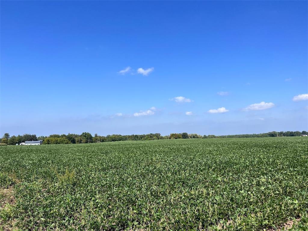 000 County Highway 52 Deer Creek MN 56527 6421711 image1