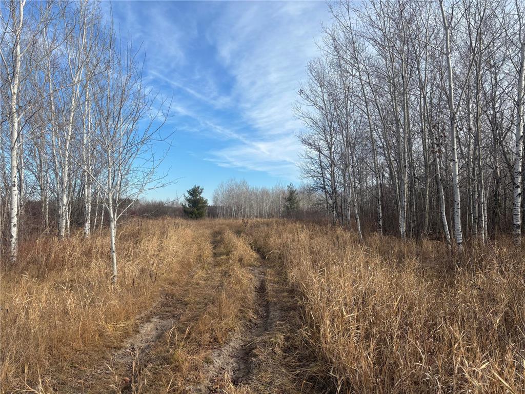 000 County Hwy 61 Pokegama Twp MN 55063 6822451 image23