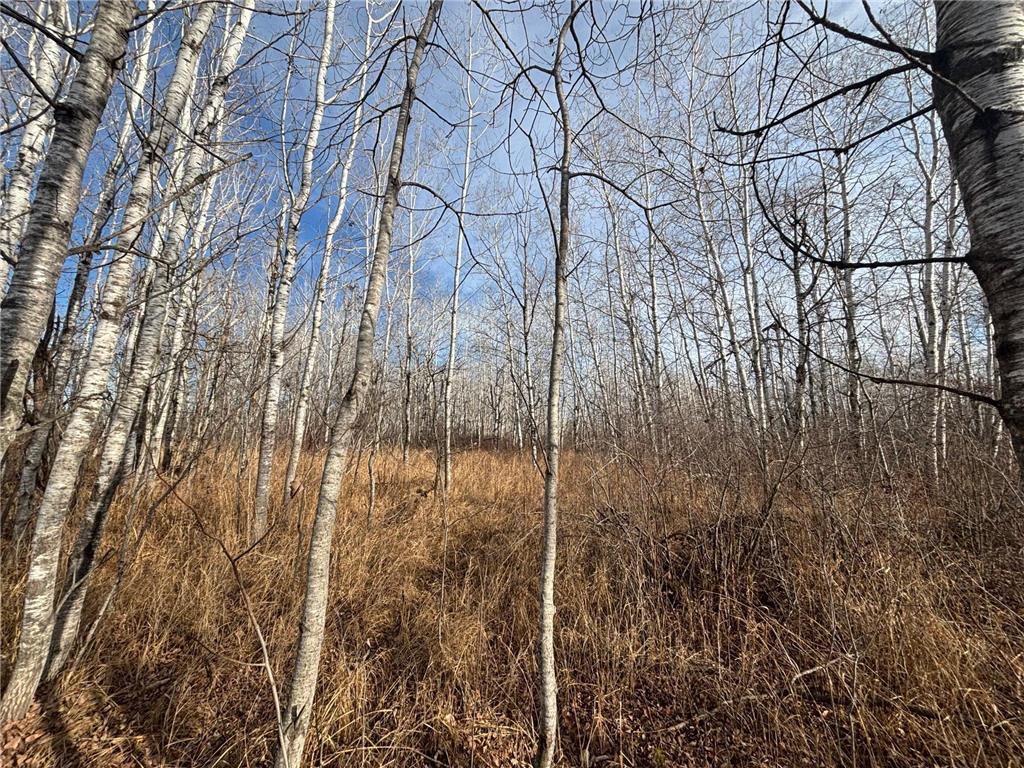 000 County Hwy 61 Pokegama Twp MN 55063 6822451 image25