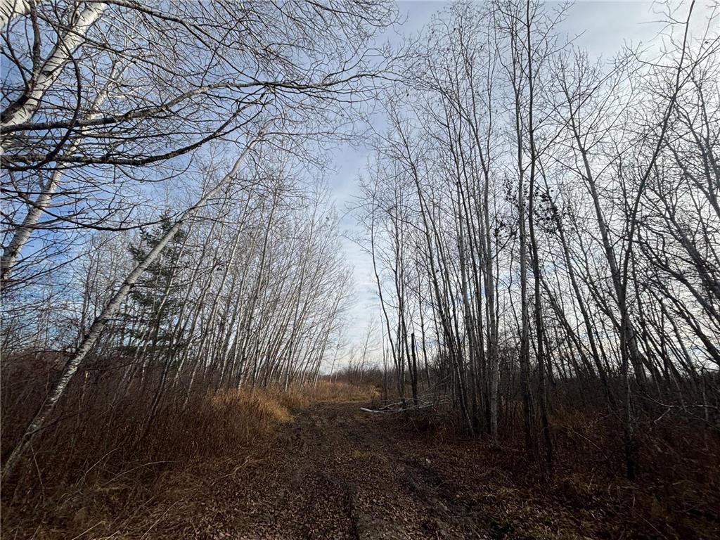 000 County Hwy 61 Pokegama Twp MN 55063 6822451 image34