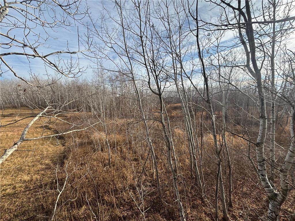 000 County Hwy 61 Pokegama Twp MN 55063 6822451 image5