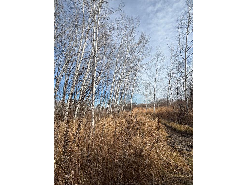 000 County Hwy 61 Pokegama Twp MN 55063 6822451 image8