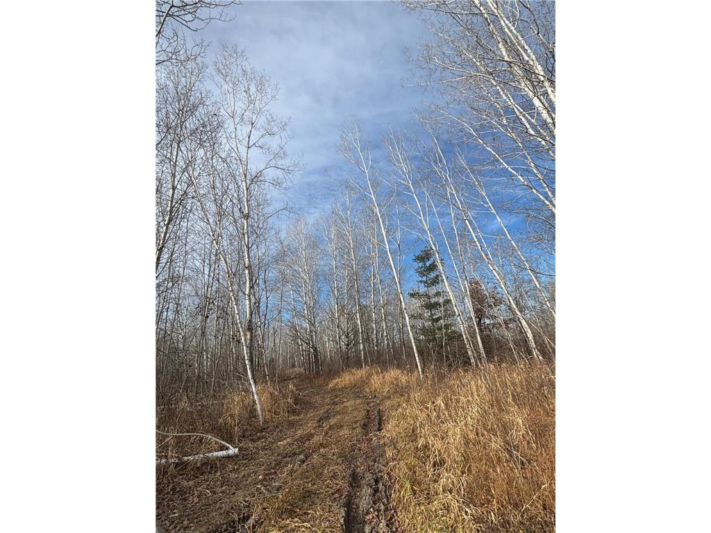 000 County Hwy 61 Pokegama Twp MN 55063 6822451 image9