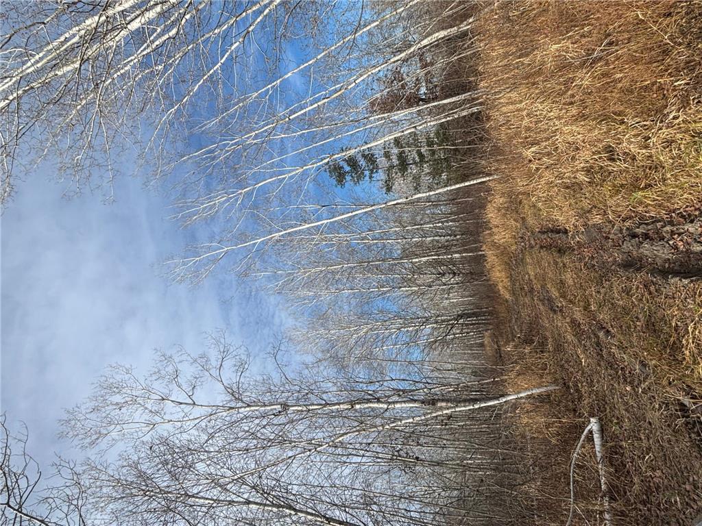 000 County Hwy 61 Pokegama Twp MN 55063 7059349 image15