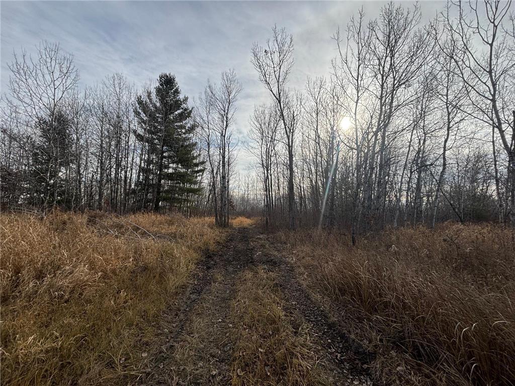 000 County Hwy 61 Pokegama Twp MN 55063 7059349 image19