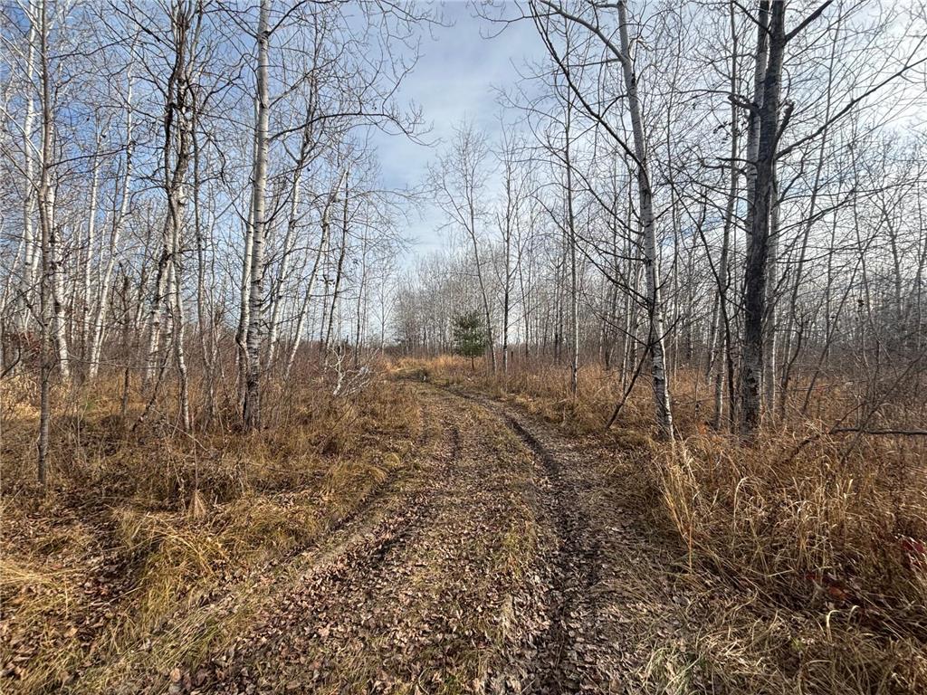 000 County Hwy 61 Pokegama Twp MN 55063 7059349 image20