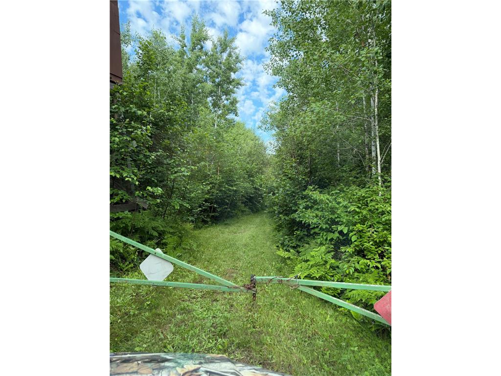 000 County Rd 56 Nashwauk Twp MN 55769 7106090 image1