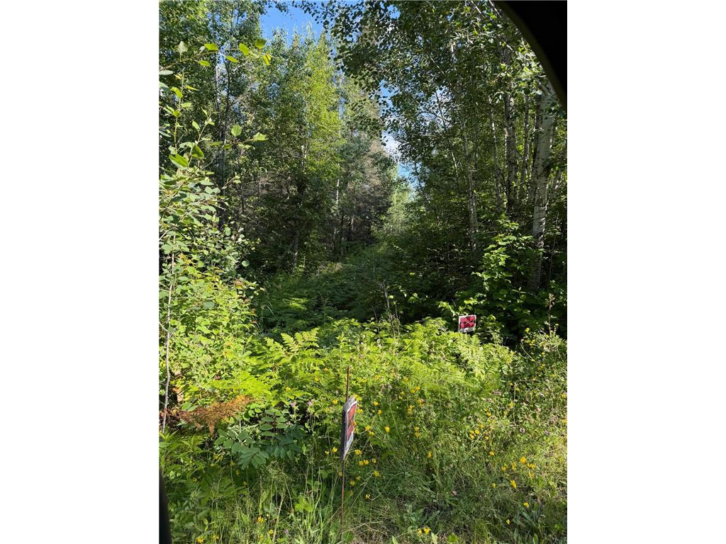 000 County Rd 56 Nashwauk Twp MN 55769 7106090 image6