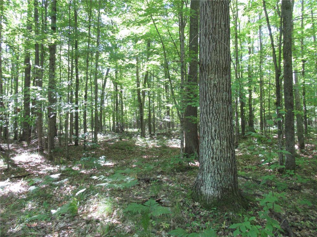 000 County Road E Mason WI 54856 6434244 image1