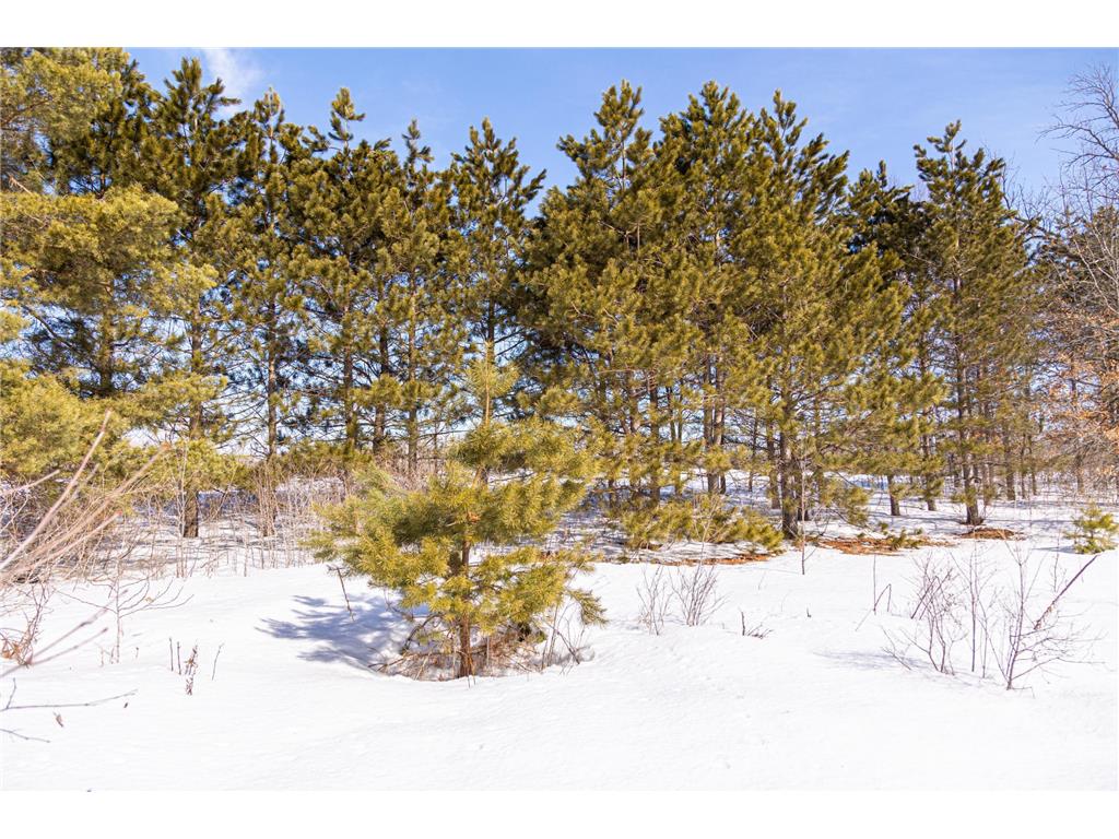 000 Craft Lane Pokegama Twp MN 55063 - Snake River 7010964 image30