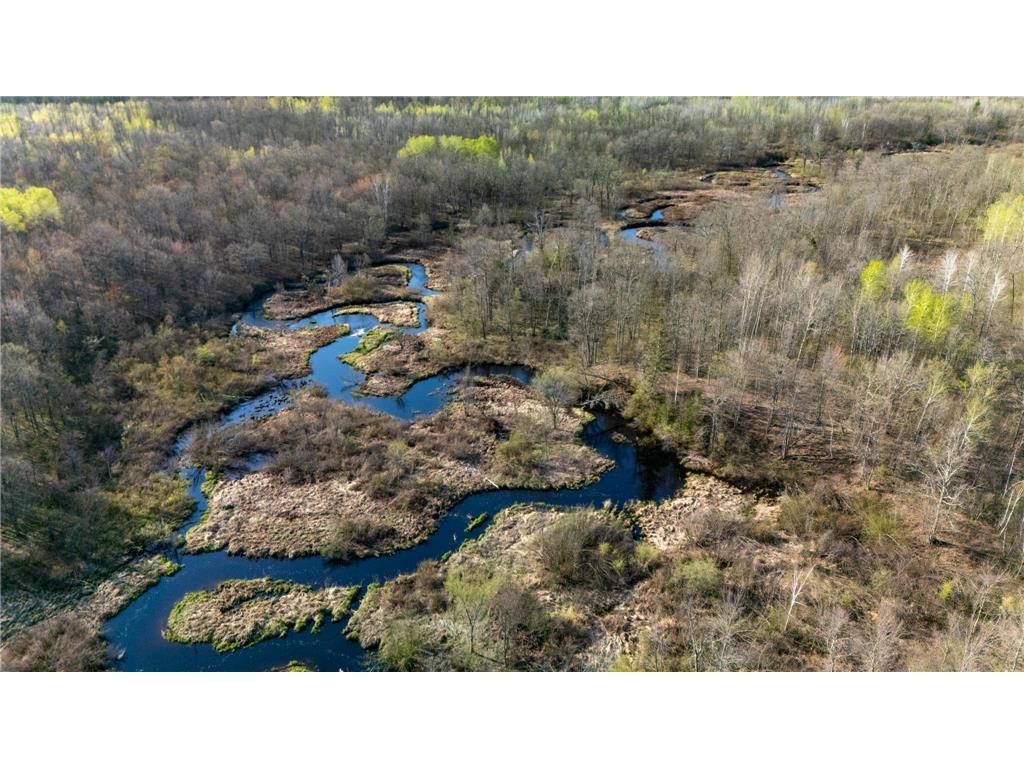 000 Crooked Lake Rd Danforth Twp MN 55072 6721730 image10