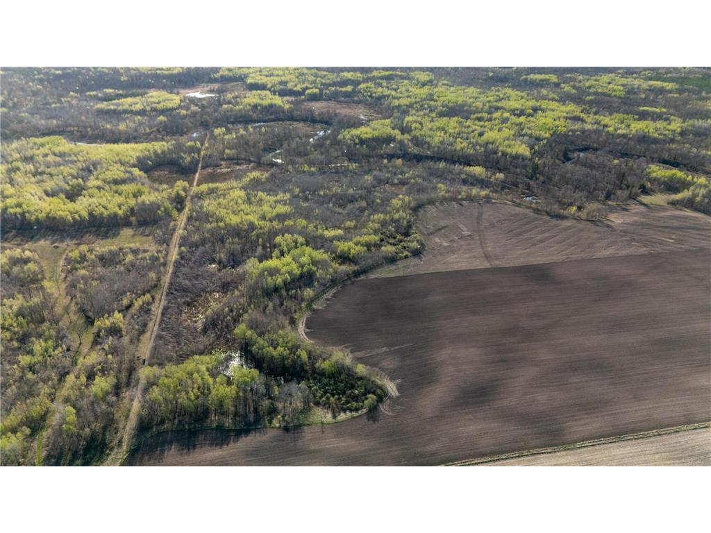 000 Crooked Lake Rd Danforth Twp MN 55072 6721730 image15