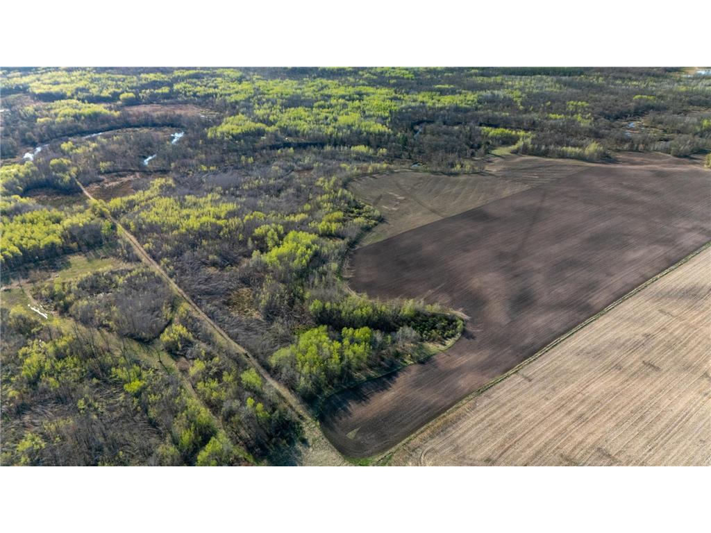 000 Crooked Lake Rd Danforth Twp MN 55072 6721730 image16