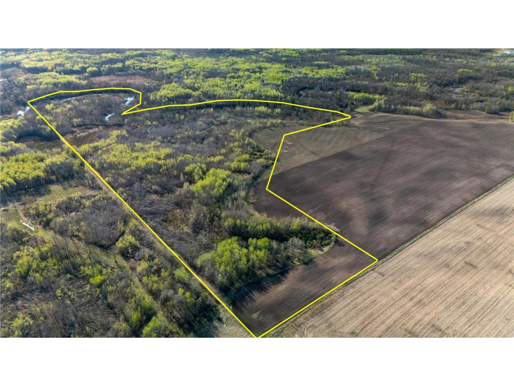 000 Crooked Lake Rd Danforth Twp MN 55072 6721730 image17