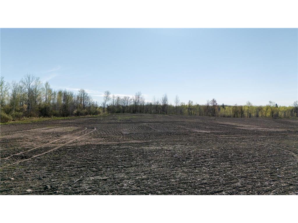 000 Crooked Lake Rd Danforth Twp MN 55072 6721730 image3