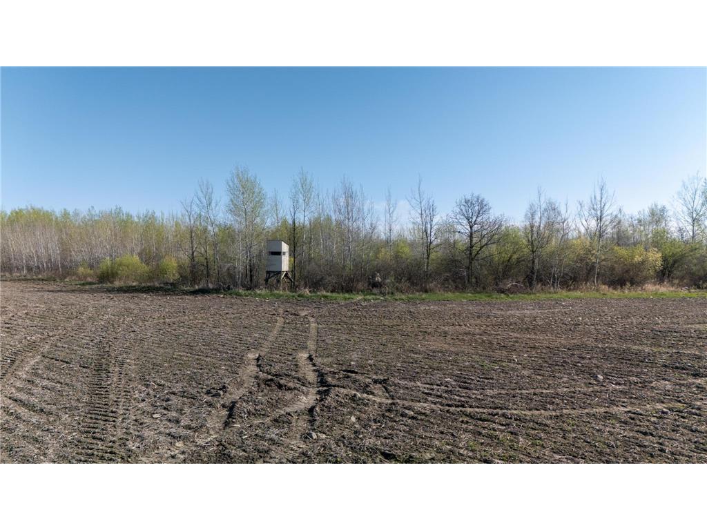 000 Crooked Lake Rd Danforth Twp MN 55072 6721730 image4