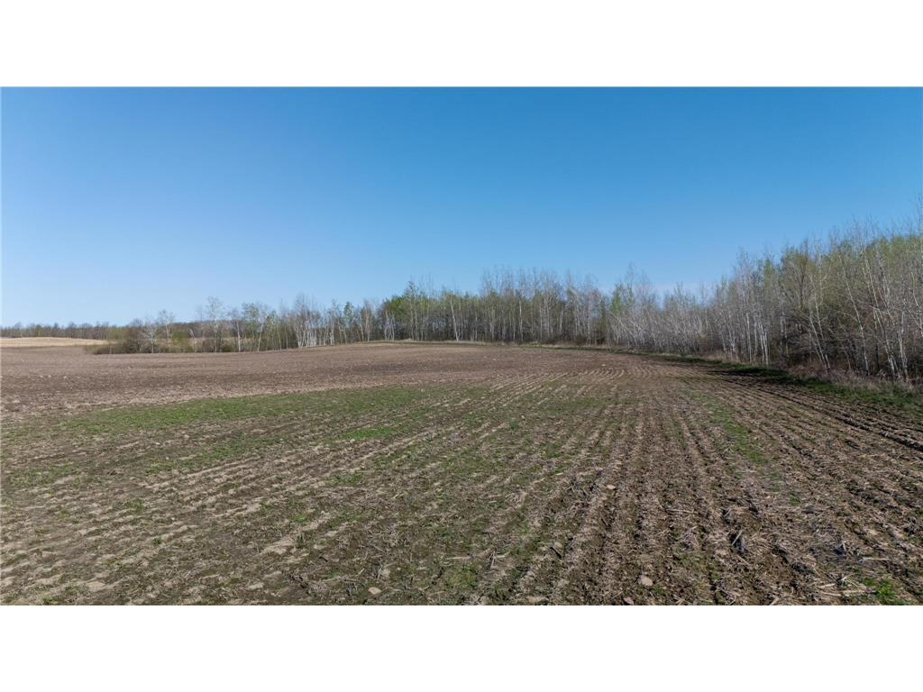 000 Crooked Lake Rd Danforth Twp MN 55072 6721730 image5