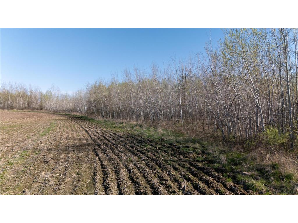 000 Crooked Lake Rd Danforth Twp MN 55072 6721730 image6