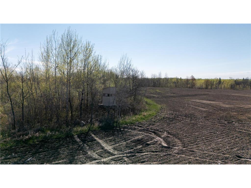 000 Crooked Lake Rd Danforth Twp MN 55072 6721730 image7