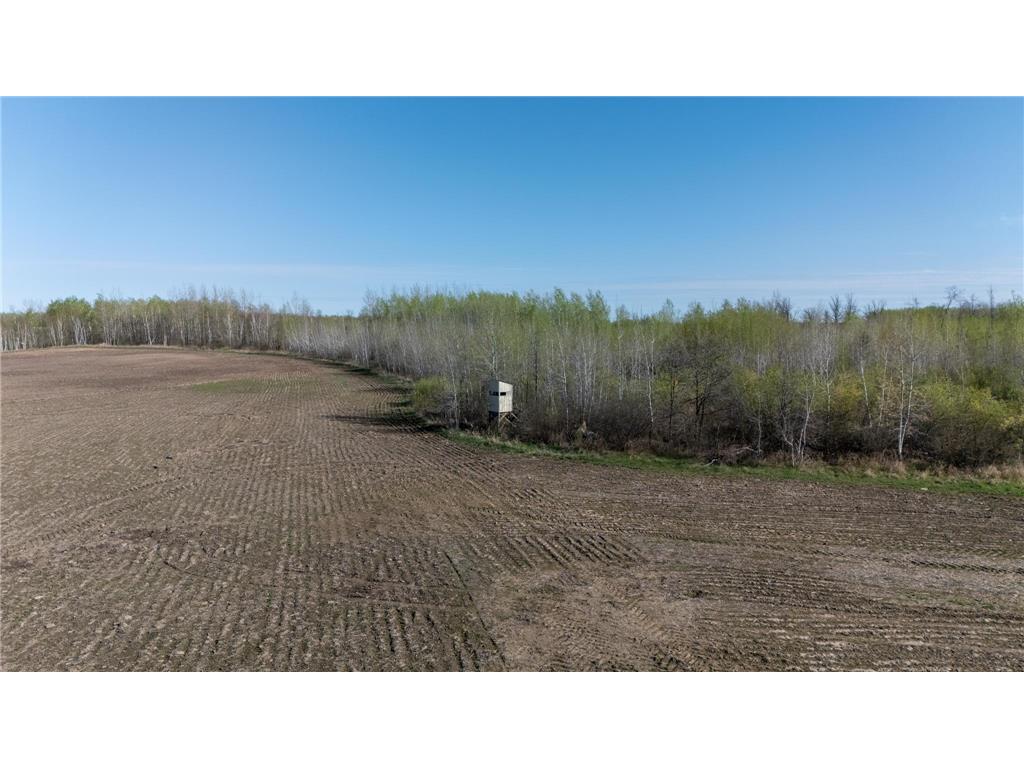 000 Crooked Lake Rd Danforth Twp MN 55072 6721730 image8