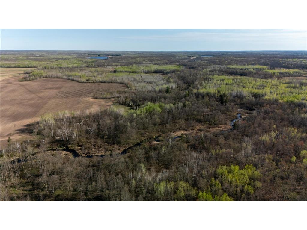 000 Crooked Lake Rd Danforth Twp MN 55072 6721730 image9