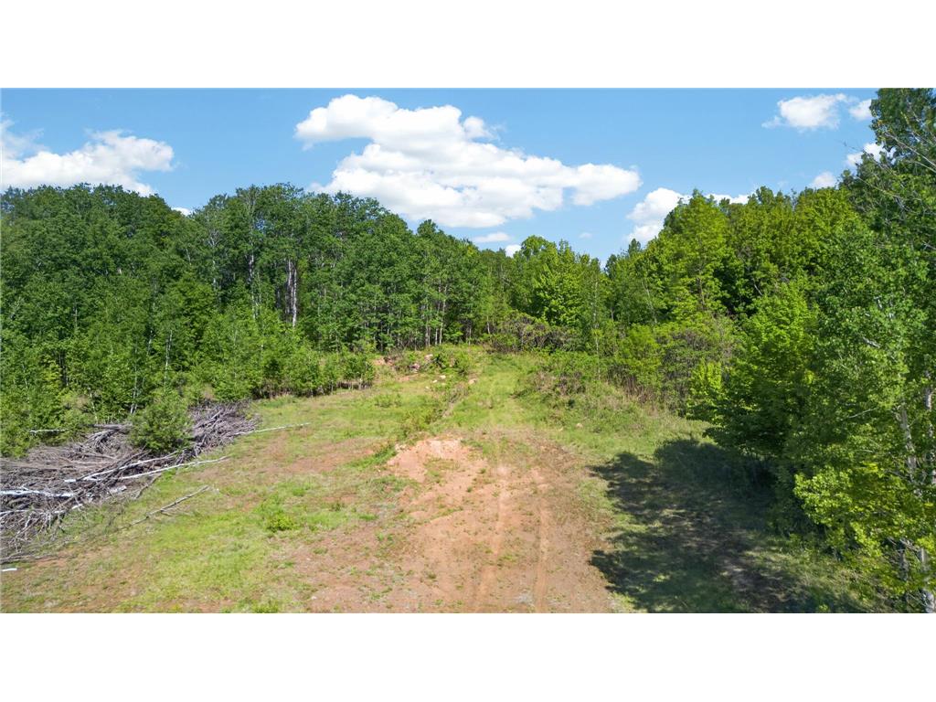 000 Dahl Hinckley Twp MN 55037 7082117 image21