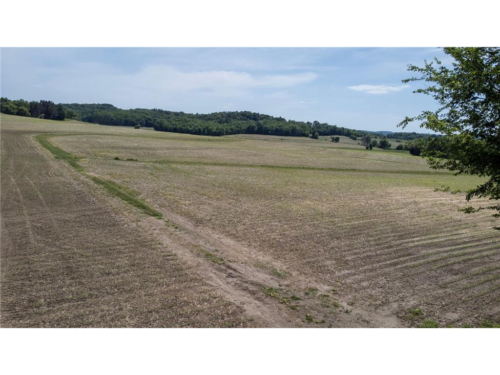 000 Dopp Road Gale Twp WI 54627 7089961 image10