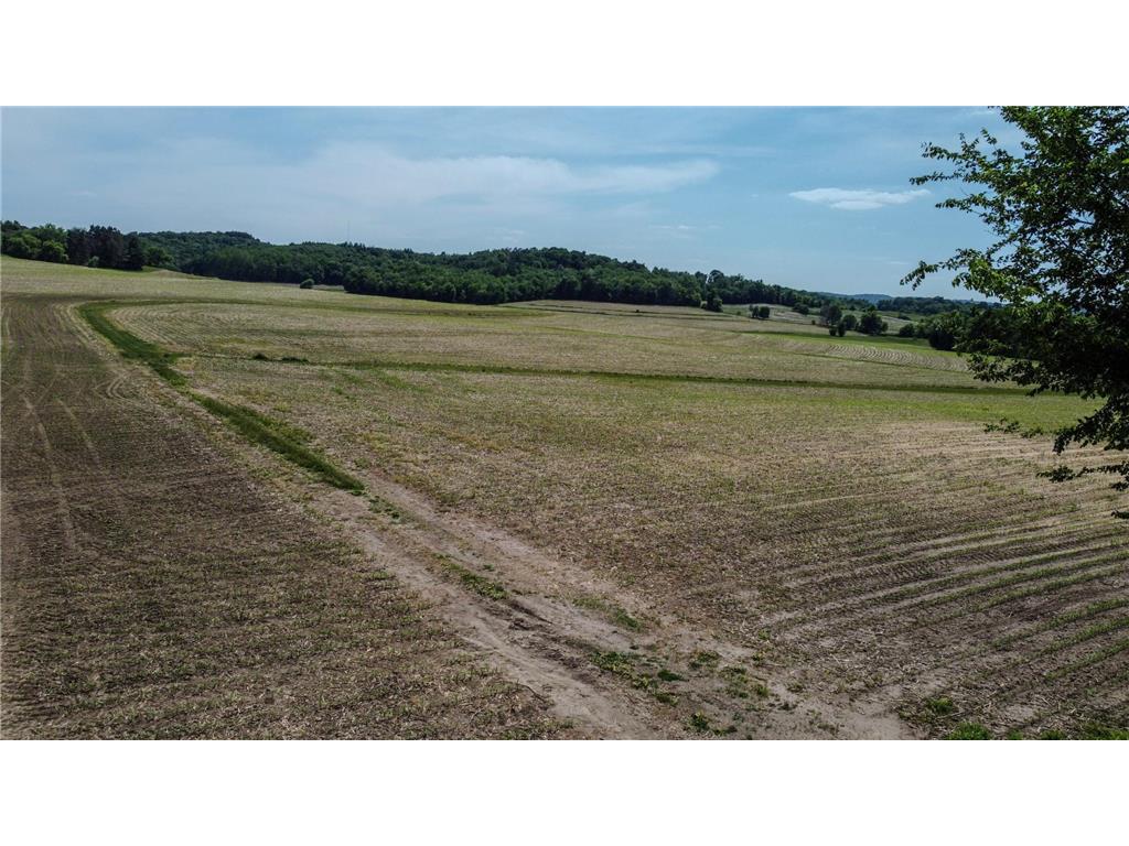 000 Dopp Road Gale Twp WI 54627 7089961 image20