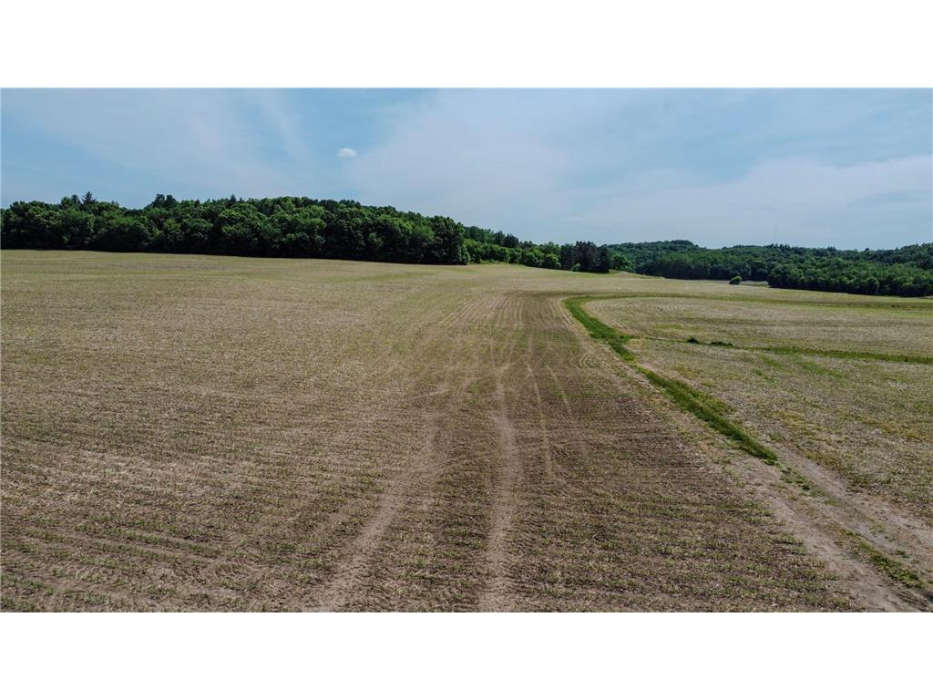 000 Dopp Road Gale Twp WI 54627 7089961 image21