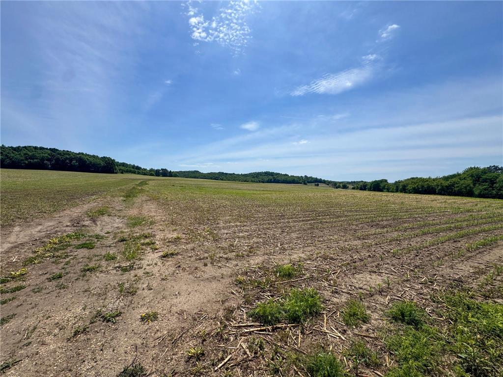 000 Dopp Road Gale Twp WI 54627 7089961 image24