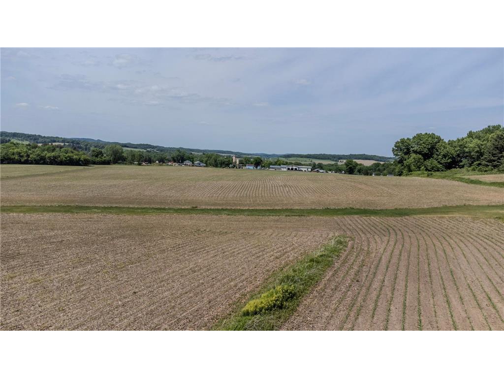 000 Dopp Road Gale Twp WI 54627 7089961 image4
