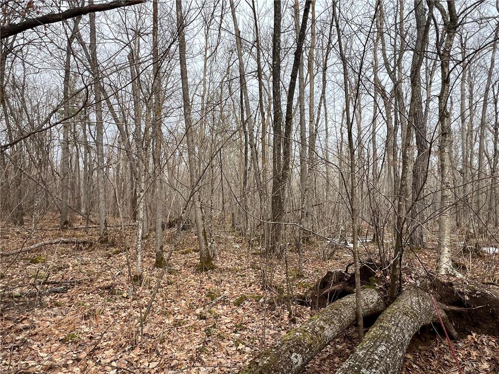 000 East of Beroun Crossing Munch Twp MN 55037 6647840 image1