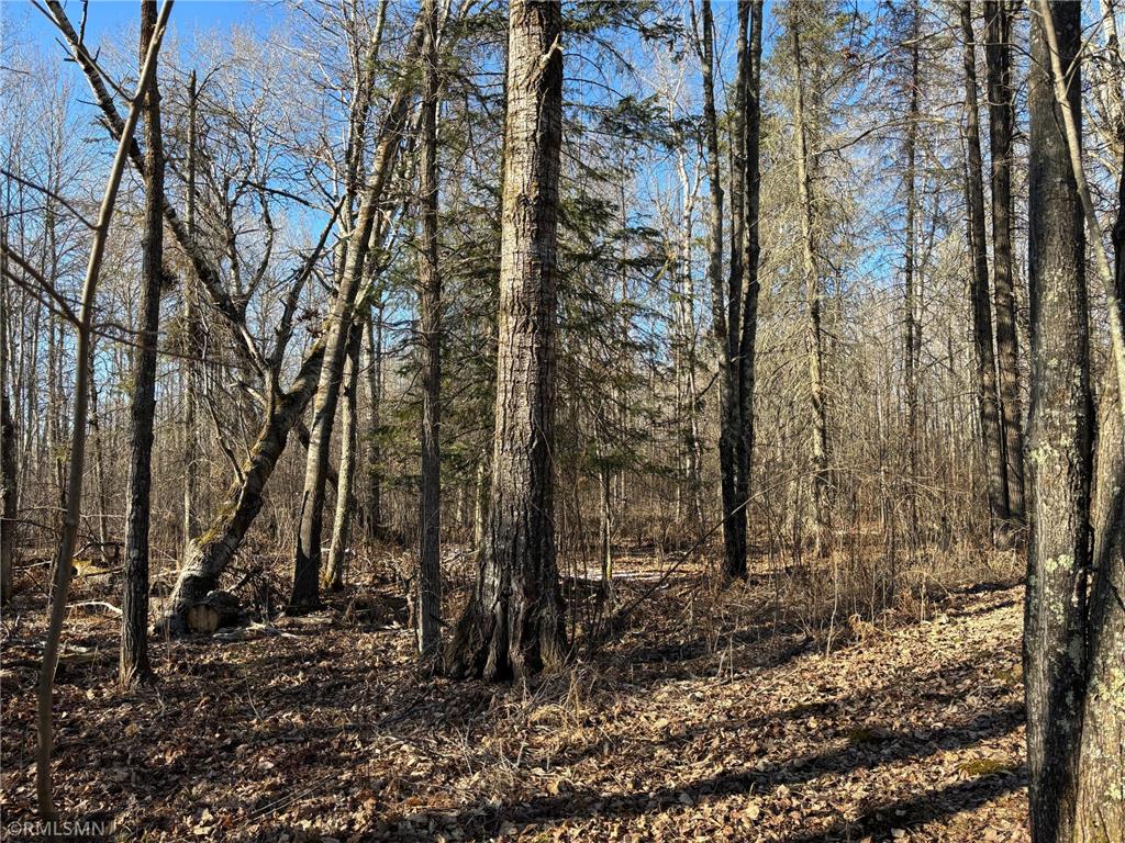 000 Great River Road Palisade MN 56469 - Mississippi 6514608 image1