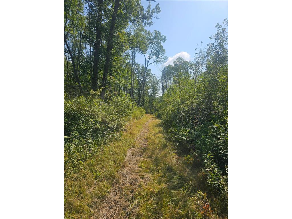 000 Highway 65 Mcgrath MN 56342 6772064 image1