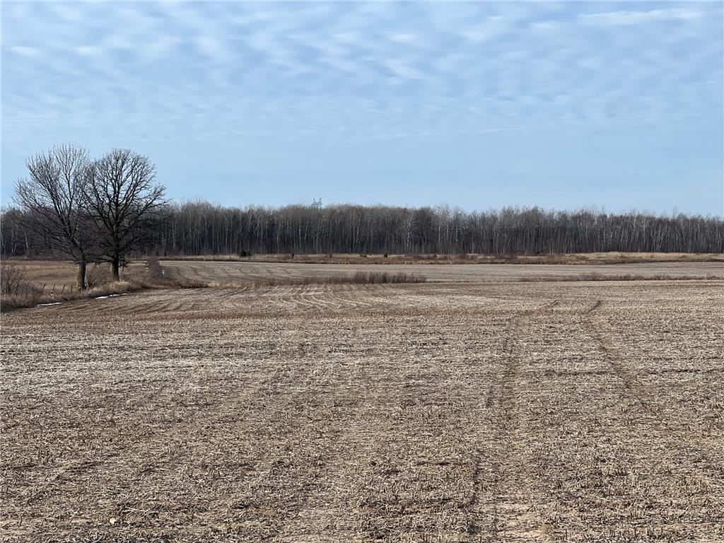 000 Hinckley Rd Munch Twp MN 55037 6470216 image1