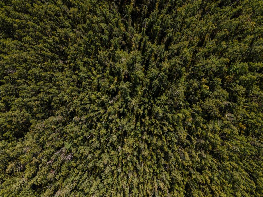 000 Hinckley Road Hinckley MN 55037 6606373 image4