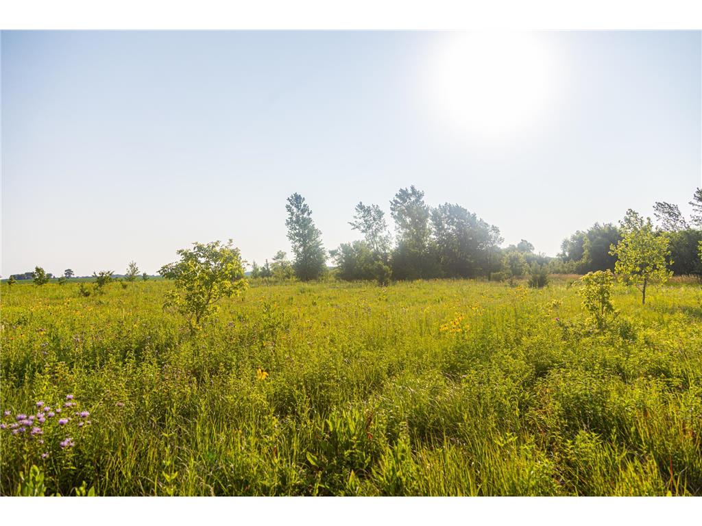 000 MN Hwy 83 Mcpherson Twp MN 56048 6410408 image1