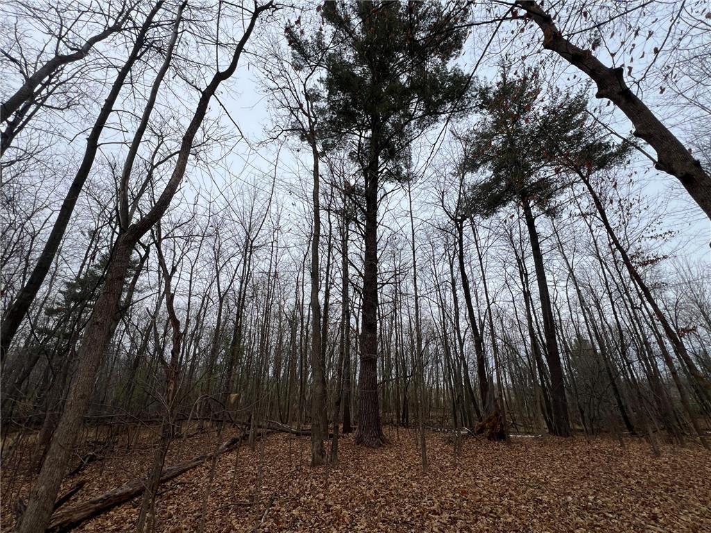 000 Maple Knoll Rd Pokegama Twp MN 55063 - Pokegema 6820266 image8