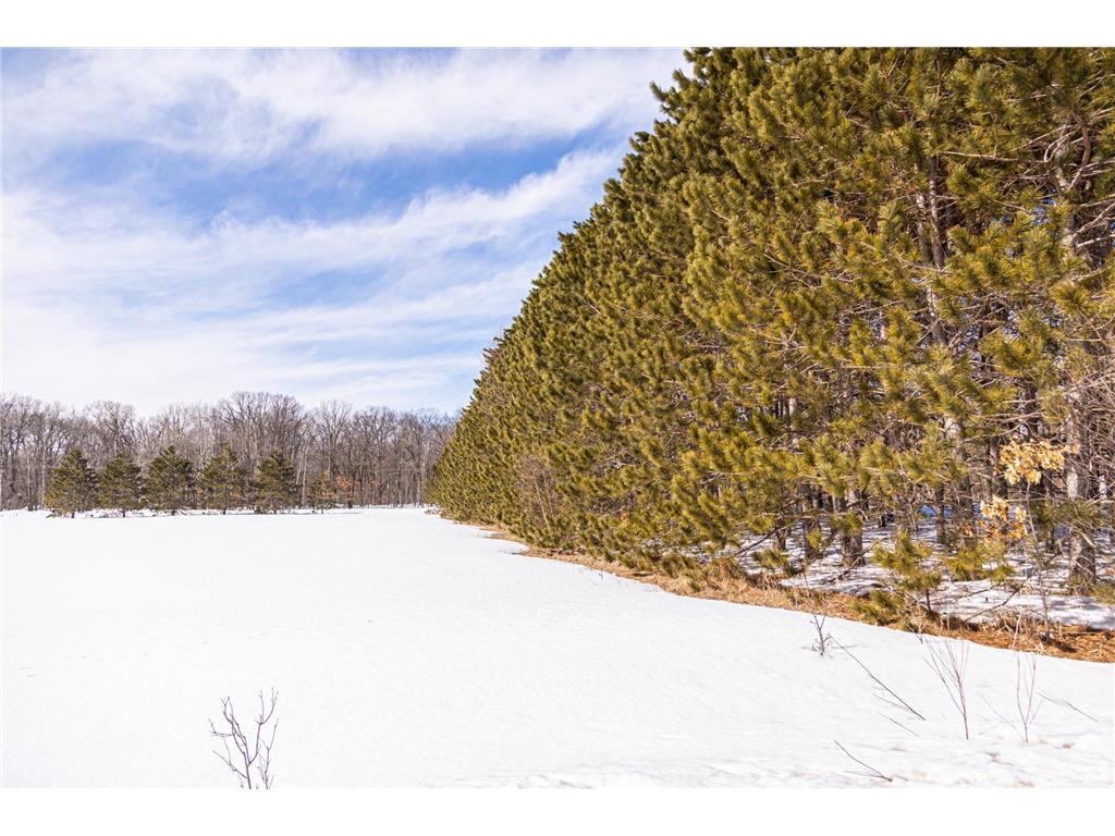 000 Mid-River Road Pokegama Twp MN 55063 7010883 image2