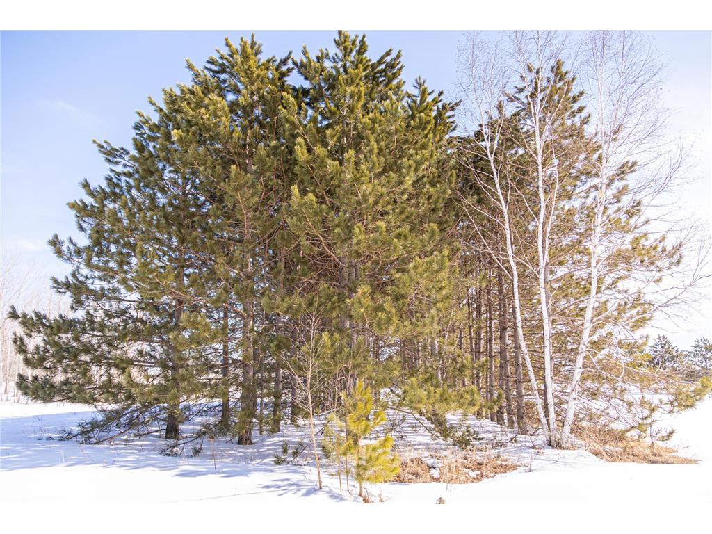 000 Mid-River Road Pokegama Twp MN 55063 7010883 image3