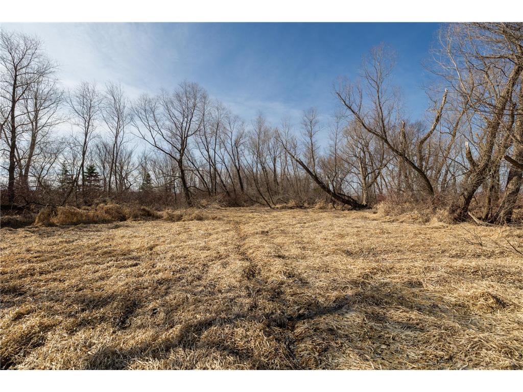 000 Mn-25 Camden Twp MN 55360 - Berliner 7046879 image23