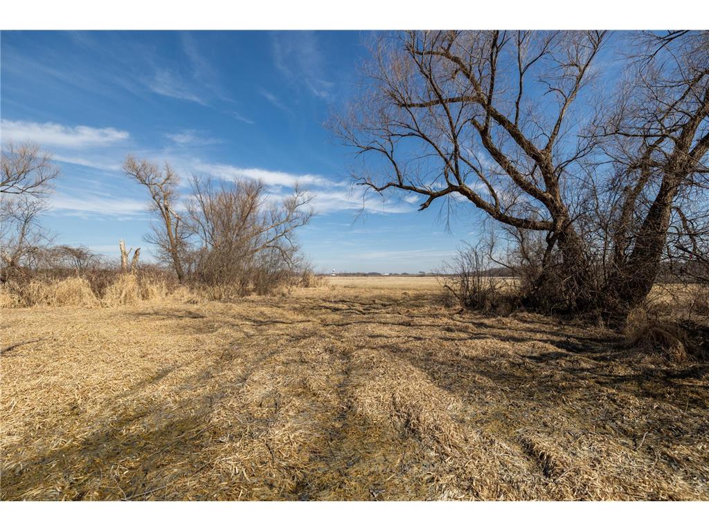 000 Mn-25 Camden Twp MN 55360 - Berliner 7046879 image24
