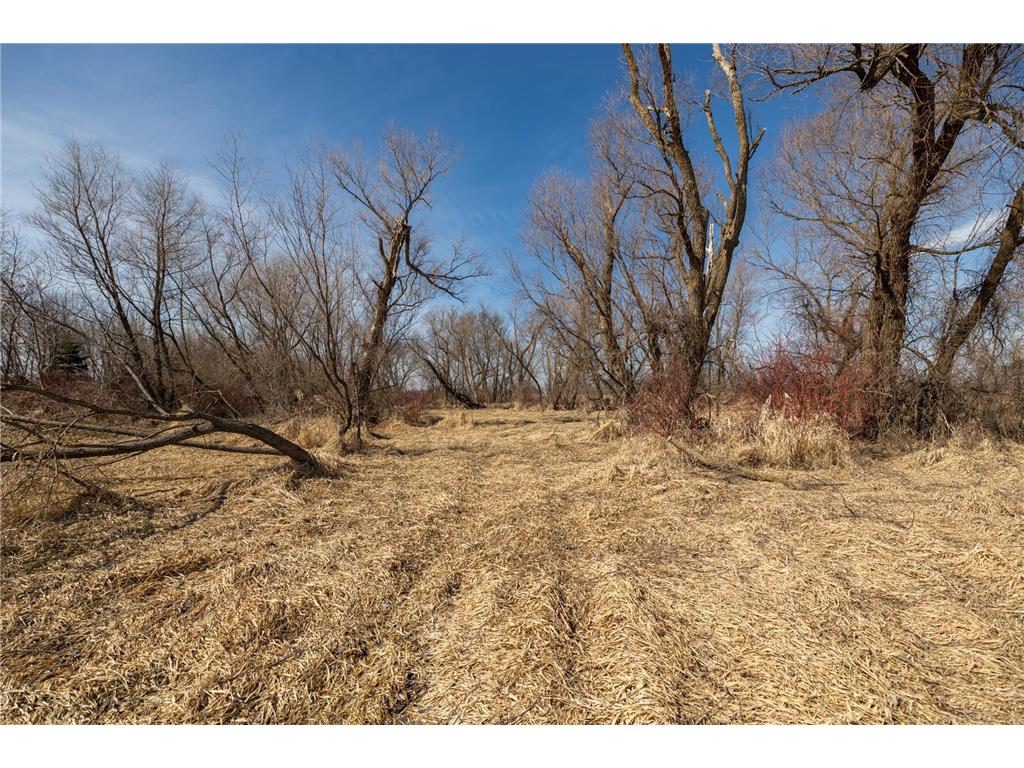 000 Mn-25 Camden Twp MN 55360 - Berliner 7046879 image25