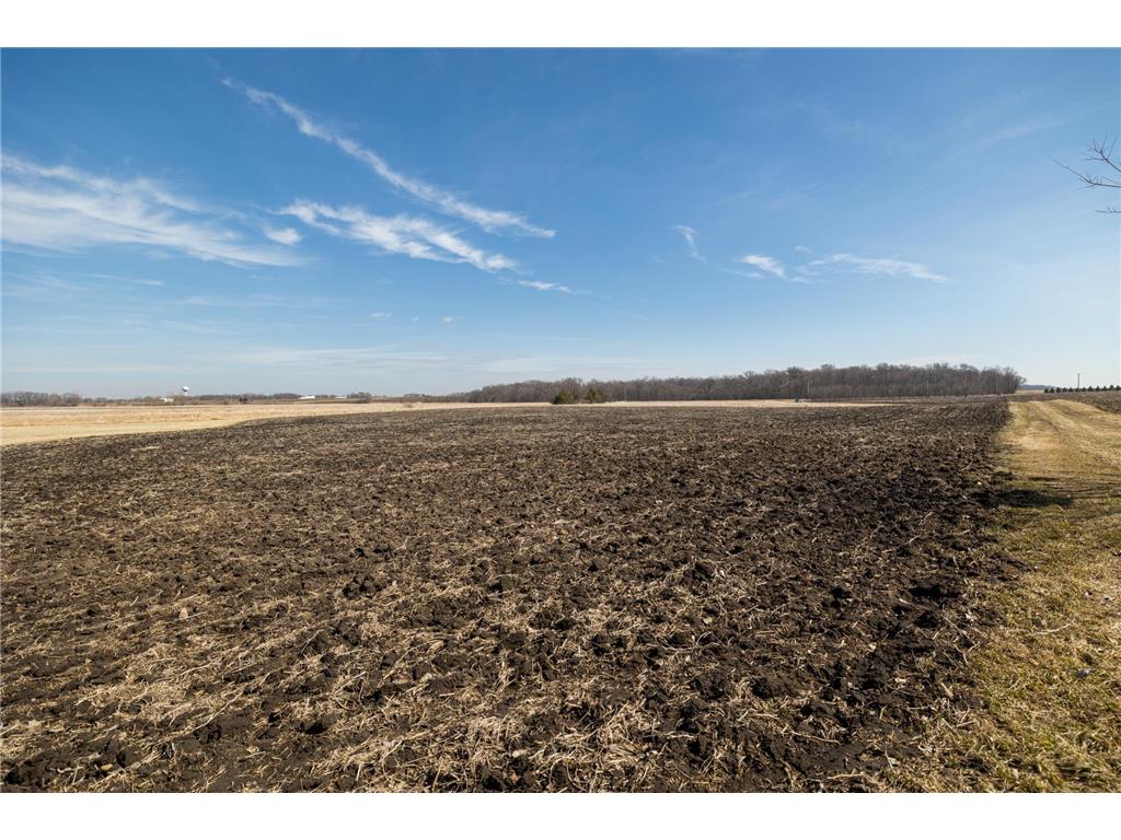000 Mn-25 Camden Twp MN 55360 - Berliner 7046879 image27