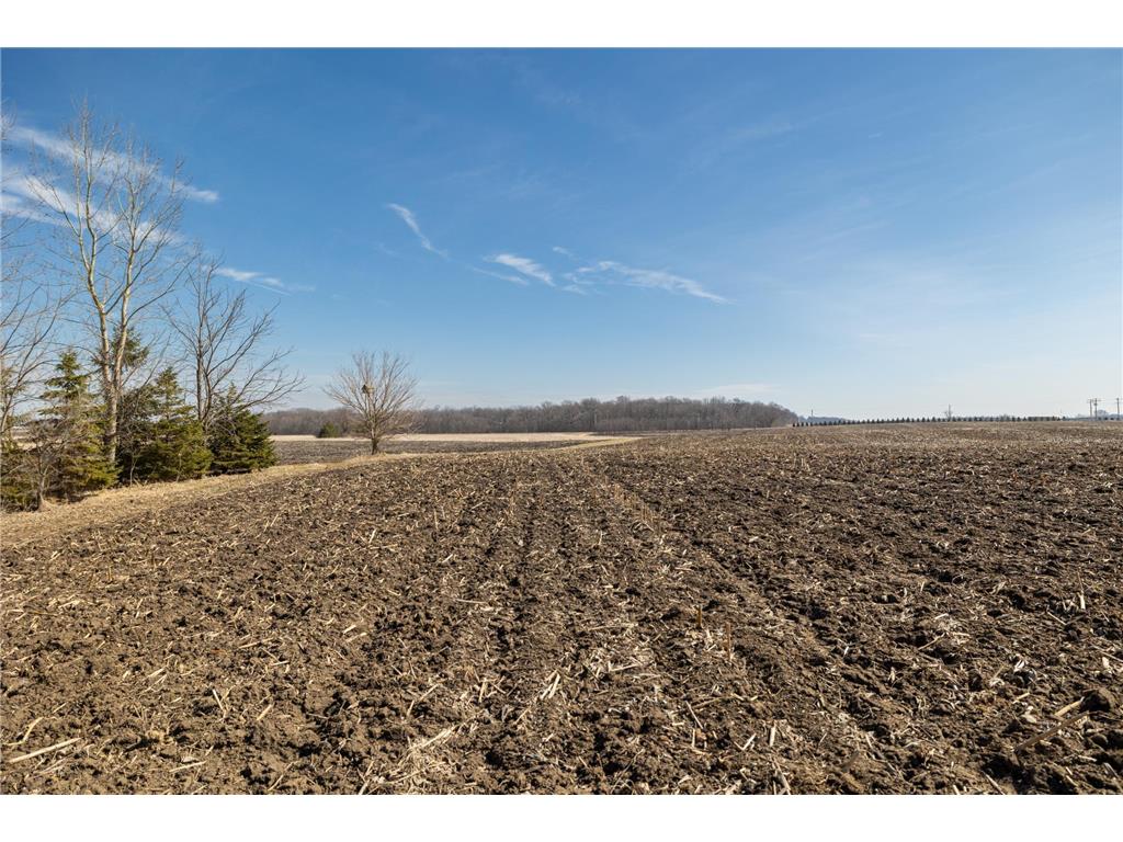 000 Mn-25 Camden Twp MN 55360 - Berliner 7046879 image29