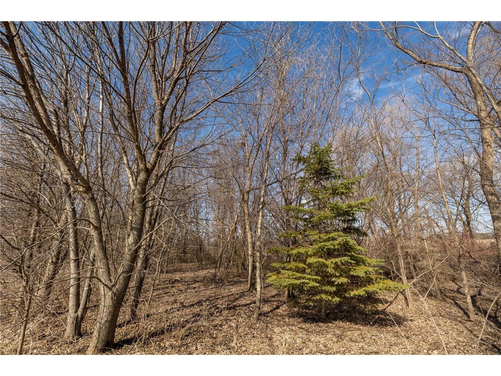 000 Mn-25 Camden Twp MN 55360 - Berliner 7046879 image30