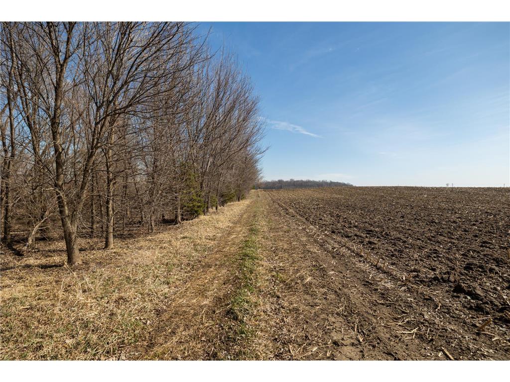 000 Mn-25 Camden Twp MN 55360 - Berliner 7046879 image31